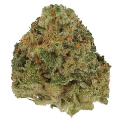 Cannamedical Sativa Classic NM Amsterdam Amnesia